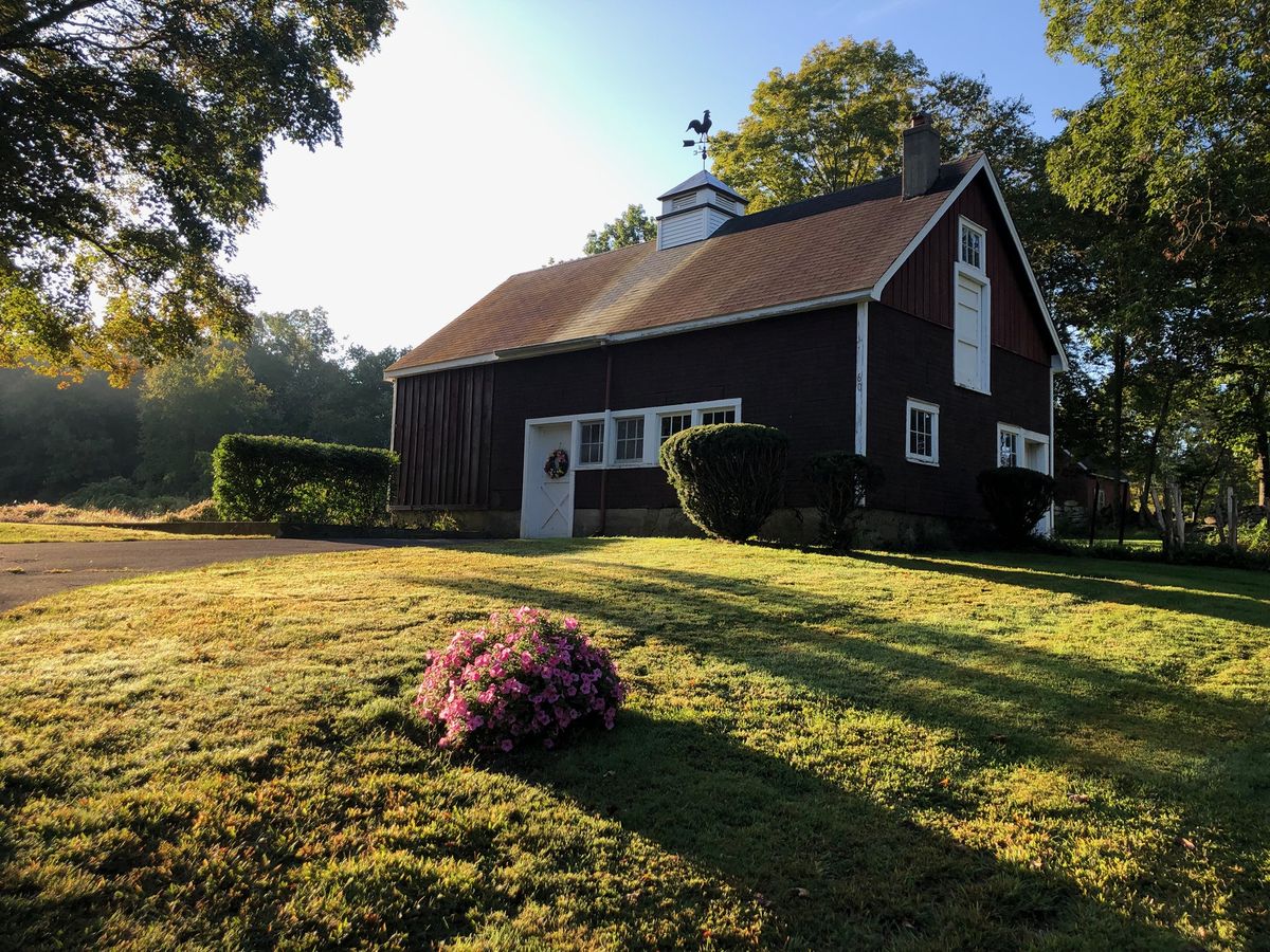 The dark barn with its rooster weathervane in morning sun