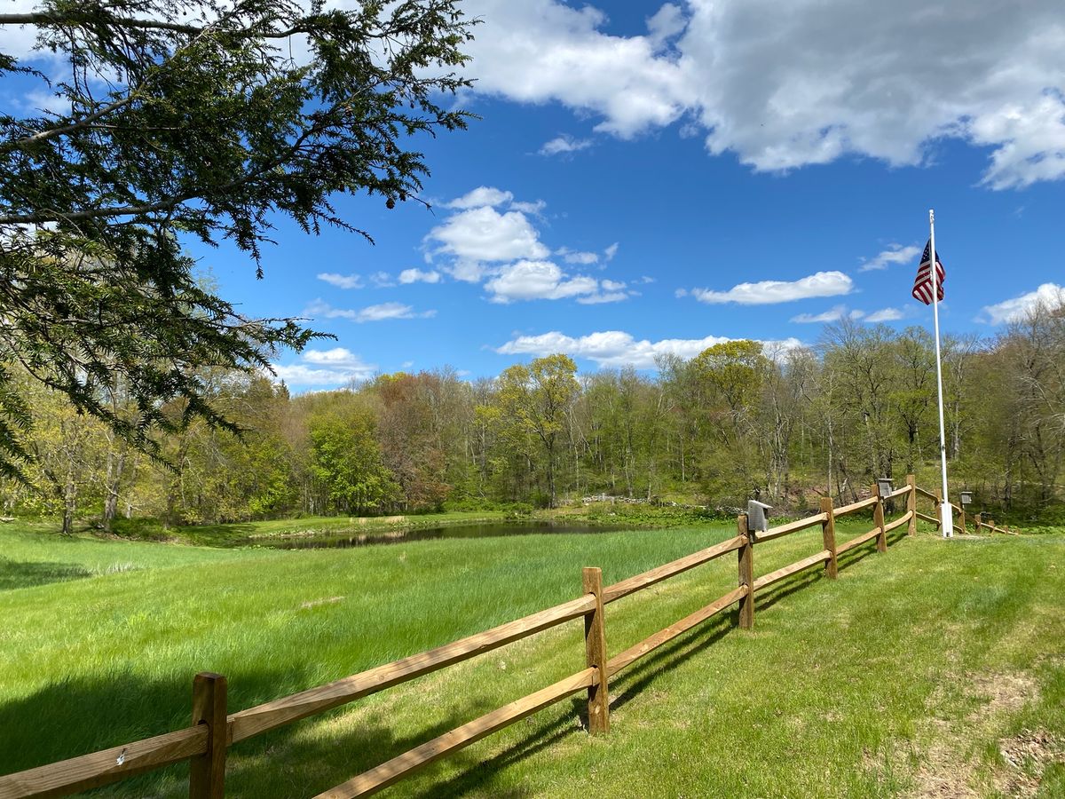 Split-rail fence along the field and pond in spring