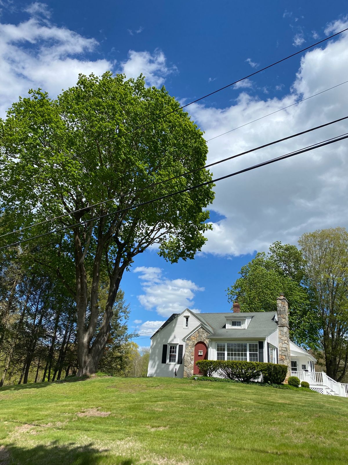 The farmhouse below a great maple in spring